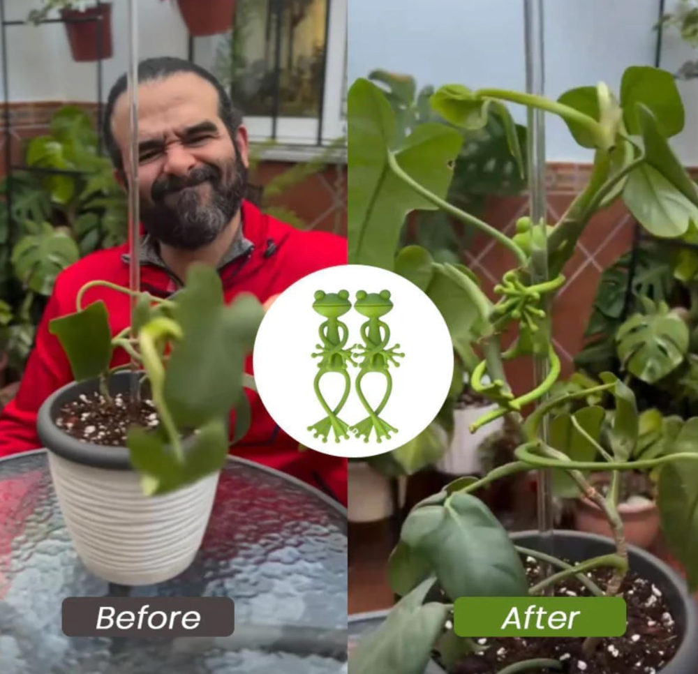 Reusable Frog Plant Support
