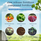 Organic Tablet Fertilizer (10 Tablets)