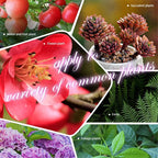 Organic Tablet Fertilizer (10 Tablets)