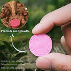 Organic Tablet Fertilizer (10 Tablets)